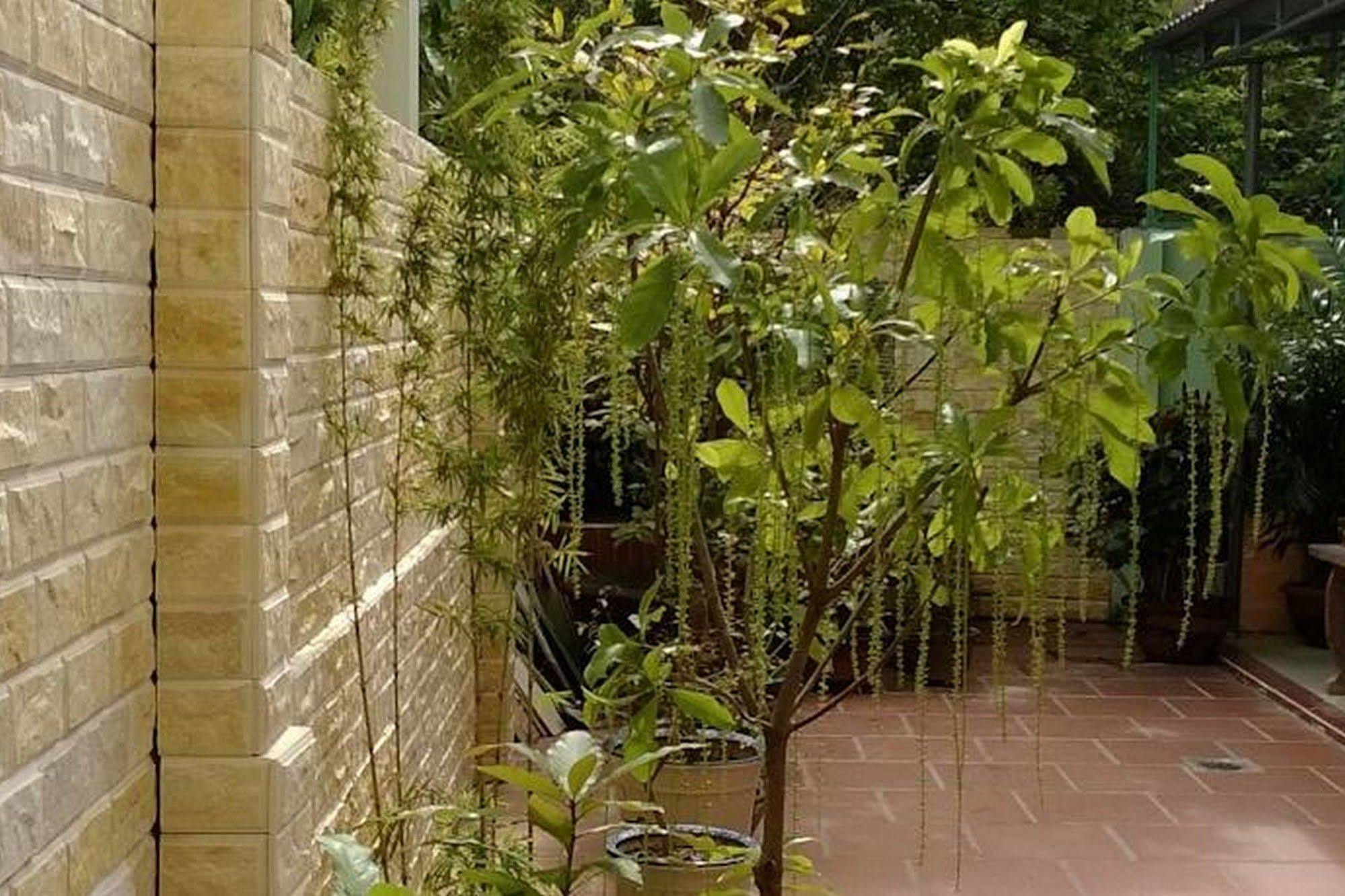 Hi Hop Yen Homestay Хойан Экстерьер фото